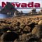 Wild & Scenic Nevada 2004 Calendar cover