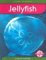 Jellyfish cover