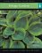 Foliage Gardens : Everything You Need to Create a Garden cover
