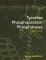 Tyrosine Phosphoprotein Phosphatases cover