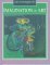 Imagination in Art cover