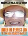 Under The Perfect Sun : The San Diego Tourists Never See cover
