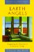 Earth Angels : Engaging the Sacred in Everyday Things cover