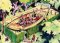 Ilya/Emilia Kabakov : Monument to a Lost Civilization/Monumento Alla Civilta Perduta cover