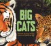 Big Cats cover