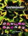 Geraniums : The Complete Encyclopedia cover