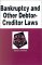 Bankruptcy and Other Debtor-Creditor Laws in a Nutshell cover