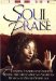 Soul Praise : Amazing Stories and Insights Behind The Great African-American Hymns And Negro Spirituals cover