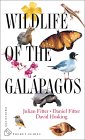 Wildlife of the Galapagos [Click for larger image]