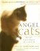Angel Cats : Divine Messengers Of Comfort cover