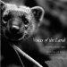 Voices of the Land cover