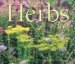 Herbs 2002 cover