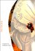 Netsuke : The Japanese Art of Miniature Carving cover