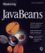  Mastering Javabeans