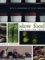 Slow Food : The Case For Taste cover