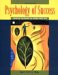Psychology of Success : Finding Meaning in Work and Life cover