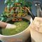 The Welsh Cheese Book cover