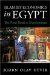 Islamist Economics in Egypt : The Pious Road to Development cover