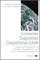 Computer Supported Cooperative Work : Issues and Implications for Workers, Organizations, and Human Resource Management cover
