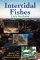 Intertidal Fishes : Life in Two Worlds cover