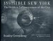 Invisible New York : The Hidden Infrastructure of the City cover