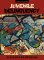 Juvenile Delinquency cover