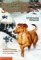  Return of Santa Paws