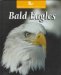 Bald Eagles cover