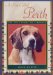 A Dog Called Perth : The True Story of a Beagle cover