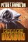Fallen Dragon cover