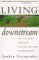  Living Downstream: An Ecologist Looks at Cancer and the Environment