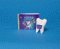 The Story of the Tooth Fairy cover