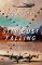 Star Dust Falling : The Story of the Plane That Vanished cover