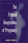 The Political Geographies of Pregnancy [Click for larger image]