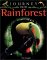  Journey into the Rainforest