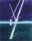 Craigie Aitchison cover