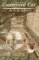 Courtyard Cat cover