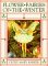  Flower Fairies of the Winter: Poems and Pictures