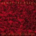 James Lee Byars : Leben, Liebe und Tod Life, Love, and Death cover