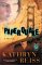 Paperquake : A Puzzle cover