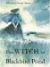 The Witch of Blackbird Pond cover
