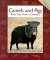 Camels and Pigs : What They Have in Common cover