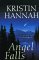 Angel Falls cover