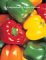 Compendium of Pepper Diseases cover