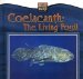 Coelacanth : The Living Fossil cover