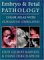 Embryo and Fetal Pathology : Color Atlas With Ultrasound Correlation cover