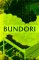 Bundori : A Novel of Japan cover