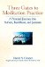 Three Gates to Meditation Practice : A Personal Journey into Sufism, Buddhism, and Judaism cover