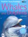  Whales And Dolphins