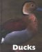 Ducks cover
